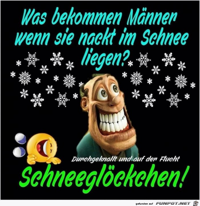 Schneeglöckchen Schneeglöckchen