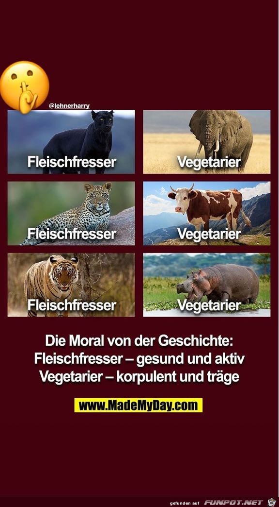 Lustiger Vergleich Lustiger Vergleich