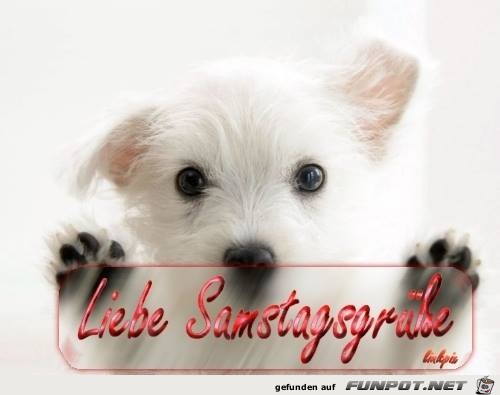 Samstagsgruesse Samstagsgruesse