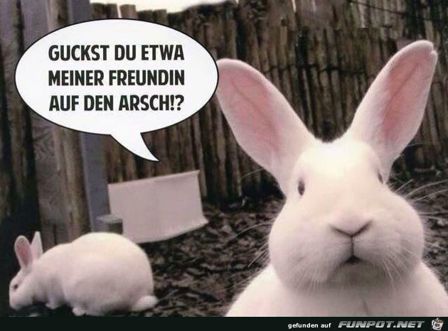 Du böser Mensch Du böser Mensch