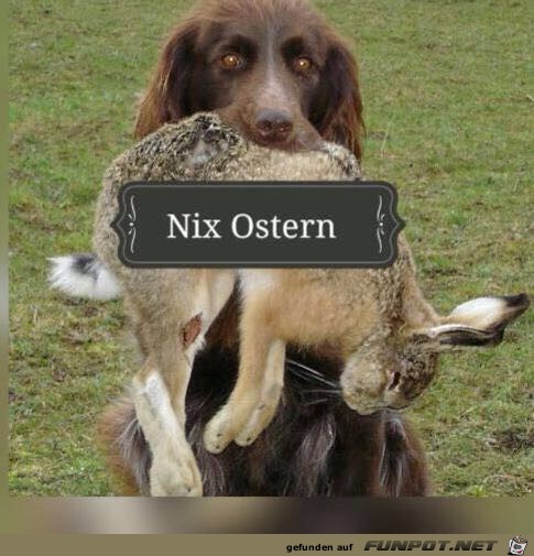 Nix Ostern