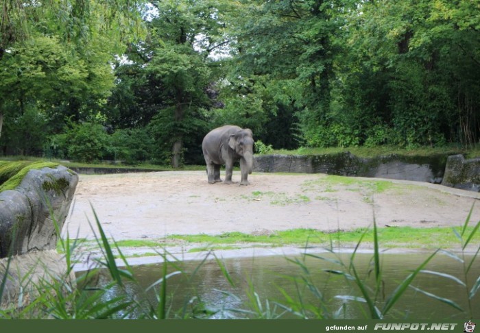 Hagenbeck07 Elefanten1