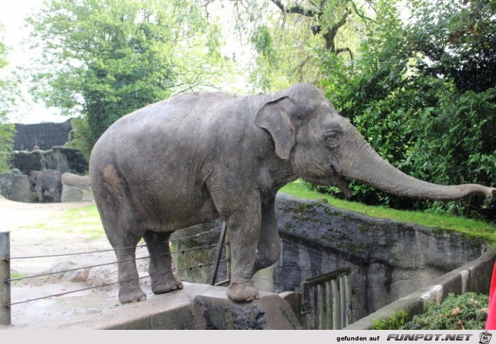 Impressionen aus Hagenbecks Tierpark Teil 1