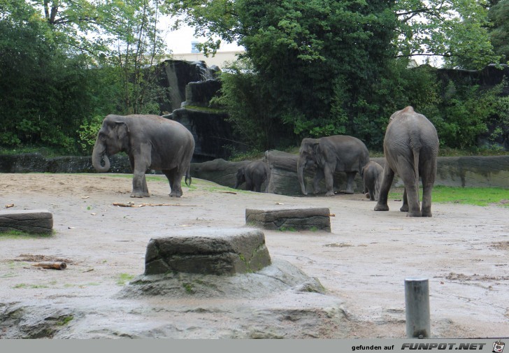 Impressionen aus Hagenbecks Tierpark Teil 1