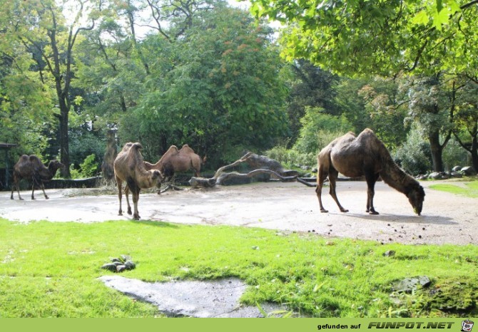 Impressionen aus Hagenbecks Tierpark Teil 1