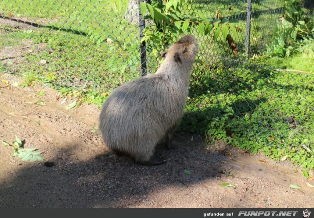 Impressionen aus Hagenbecks Tierpark Teil 1