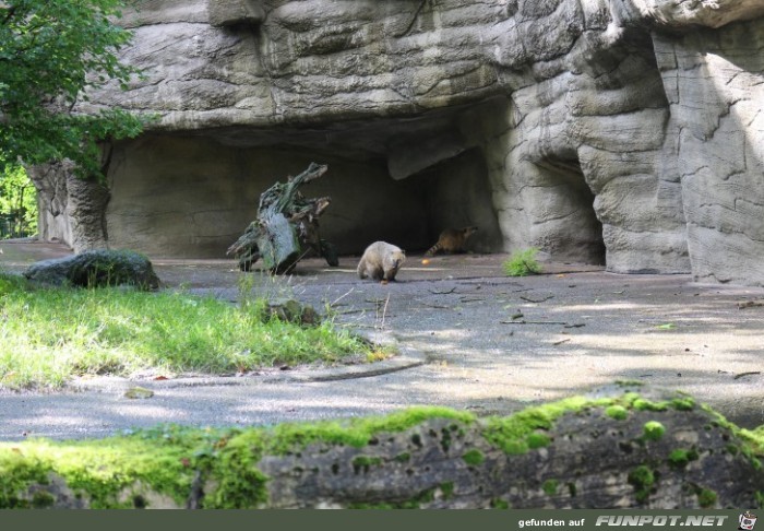 Impressionen aus Hagenbecks Tierpark Teil 1