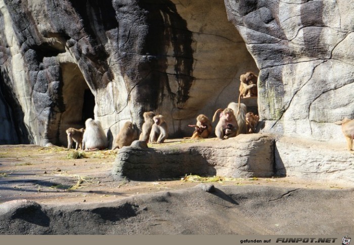 Impressionen aus Hagenbecks Tierpark Teil 1