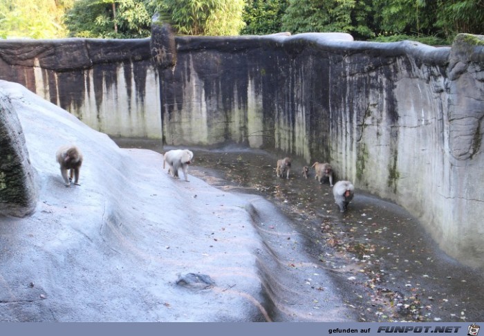 Impressionen aus Hagenbecks Tierpark Teil 1