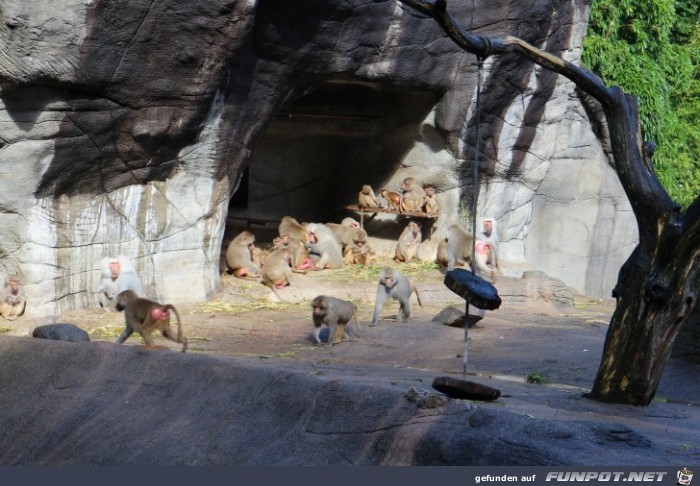 Impressionen aus Hagenbecks Tierpark Teil 1