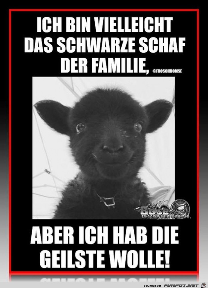 Schwarzes Schaf