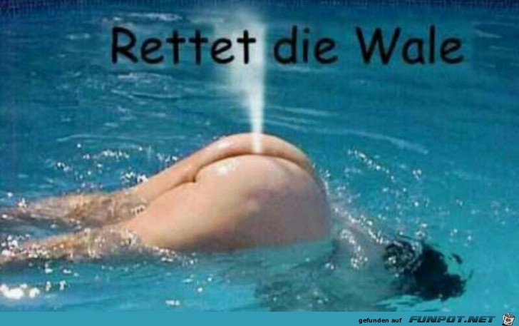 Rettet die Wale Rettet die Wale