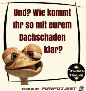 was macht euer Dachschaden ? was macht euer Dachschaden ?