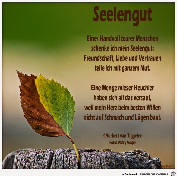 Seelengut 2018
