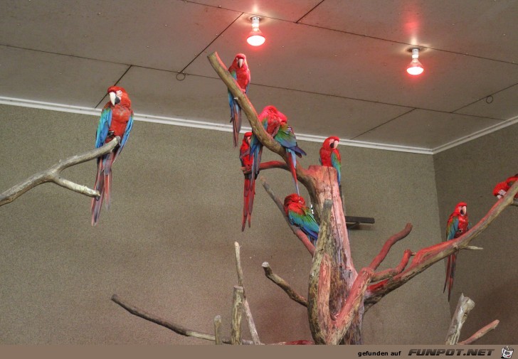 Impressionen aus Hagenbecks Tierpark Teil 2