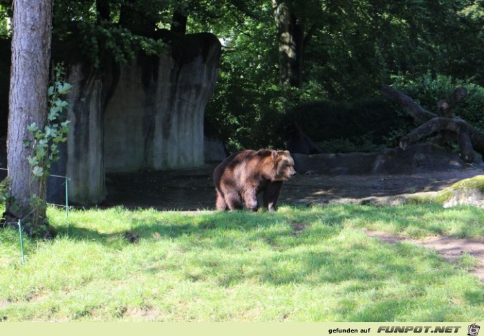 Impressionen aus Hagenbecks Tierpark Teil 2