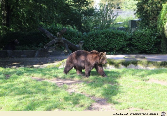 Impressionen aus Hagenbecks Tierpark Teil 2