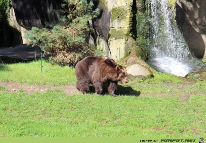 Impressionen aus Hagenbecks Tierpark Teil 2