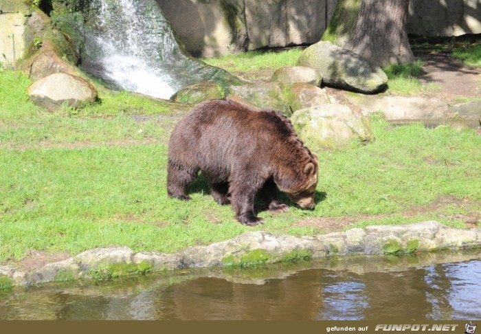 Impressionen aus Hagenbecks Tierpark Teil 2