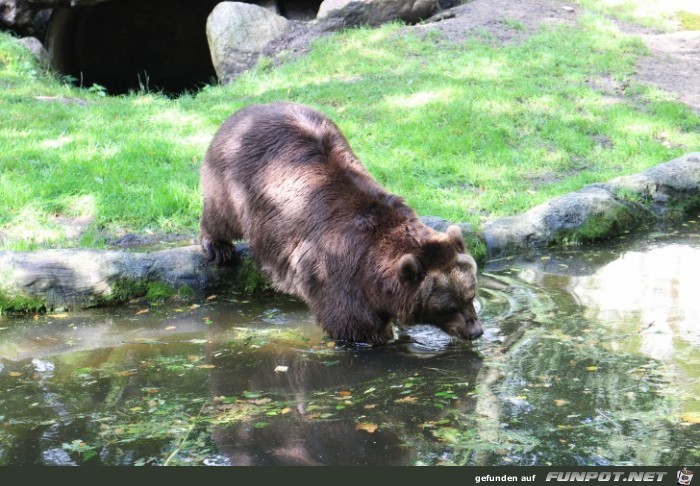 Impressionen aus Hagenbecks Tierpark Teil 2