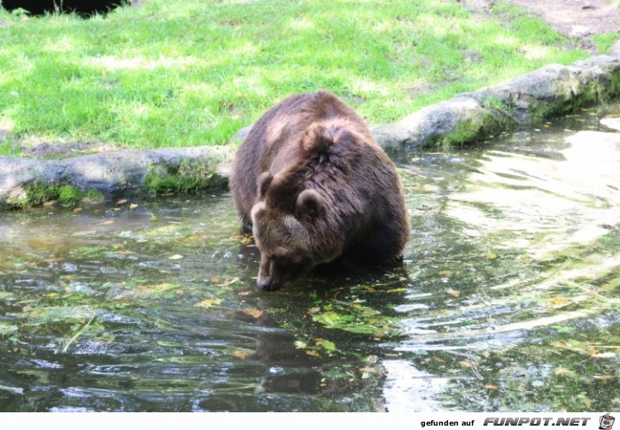 Impressionen aus Hagenbecks Tierpark Teil 2