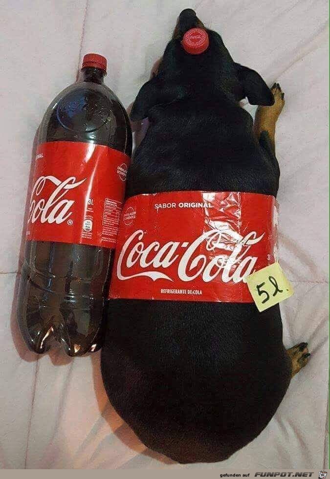 Cola - the big one Cola - the big one