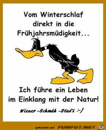 Winterschlaf Winterschlaf