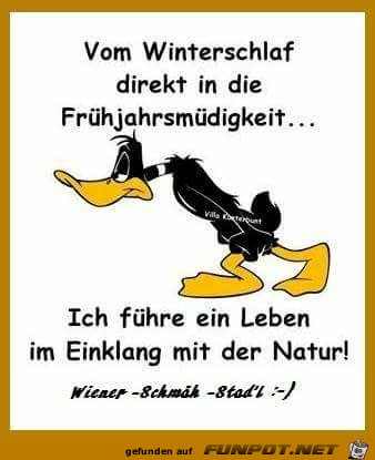 Winterschlaf