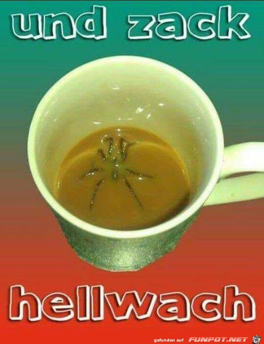 Und zack - hellwach Und zack - hellwach