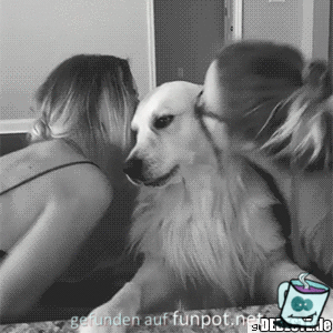 Hundekuß Hundekuß