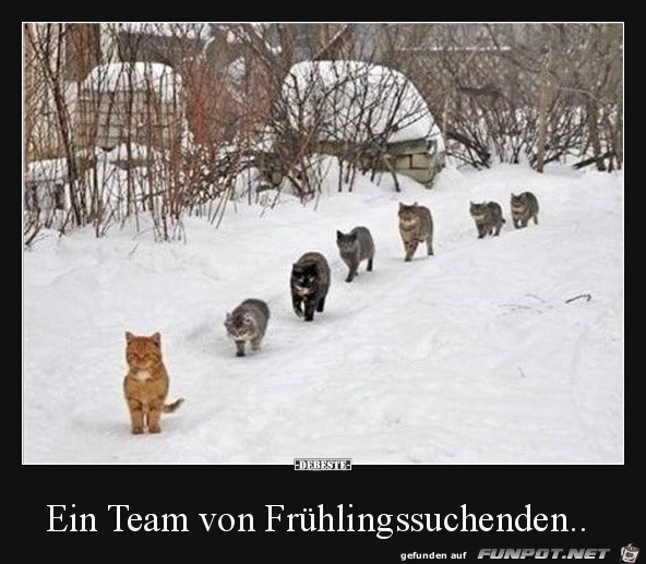 Frhlingssuchende.......