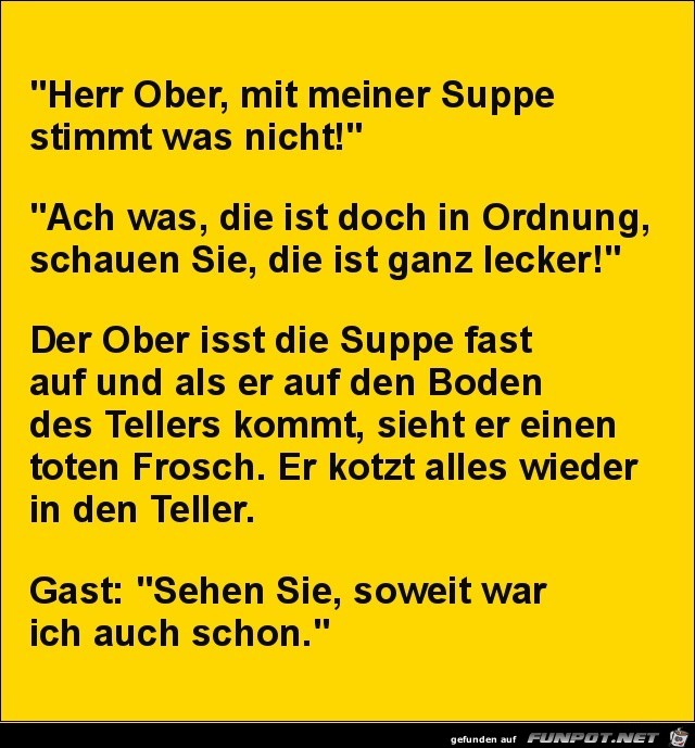 Herr Ober, mit meiner Suppe stimmt was nicht.....