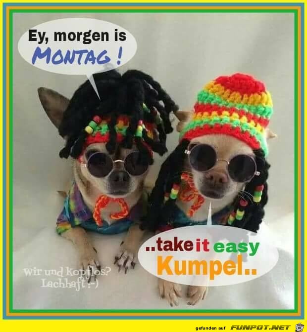 Montag Montag