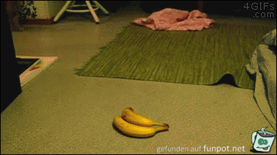 Hilfe Bananen Hilfe Bananen