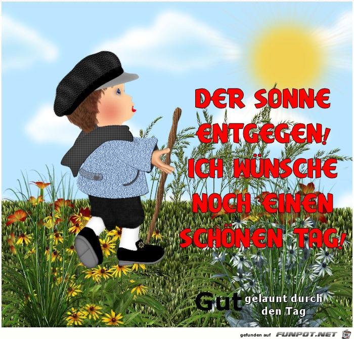 Der Sonne engegen