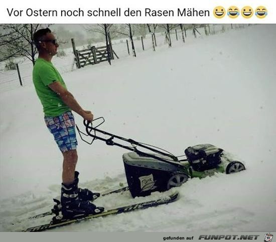 vor Ostern noch schnell den Rasen mähen...... vor Ostern noch schnell den Rasen mähen......