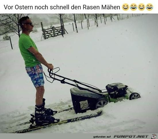 vor Ostern noch schnell den Rasen mhen......