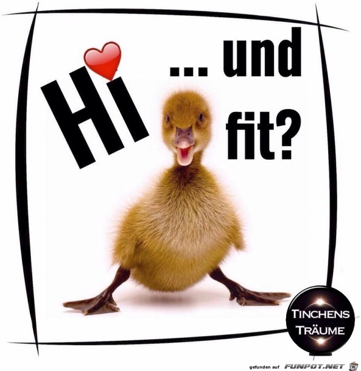 Hi und fit Hi und fit