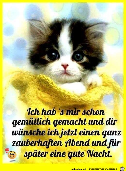 Habs mir schon gemuetlich gemacht Habs mir schon gemuetlich gemacht