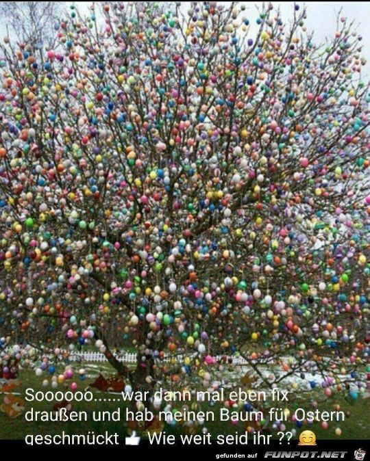 Osterbaum geschmückt Osterbaum geschmückt