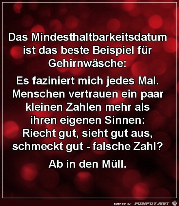 Gehirnwaesche Gehirnwaesche