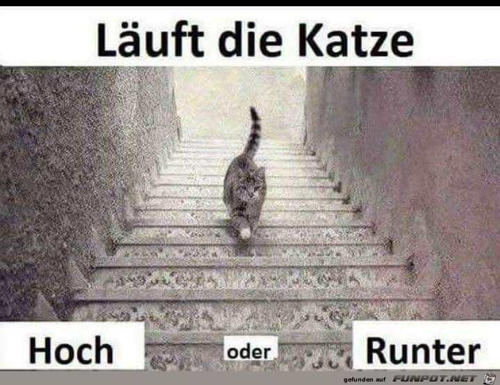 Hoch oder runter 