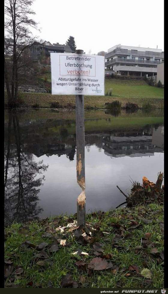 Betreten verboten! Betreten verboten!