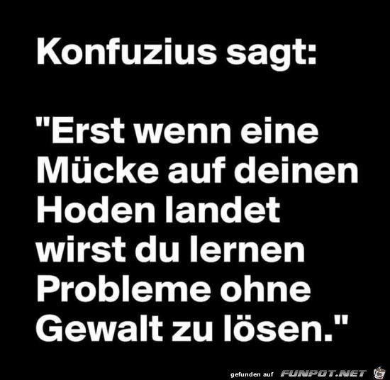 Konfuzius sagt:........ Konfuzius sagt:........