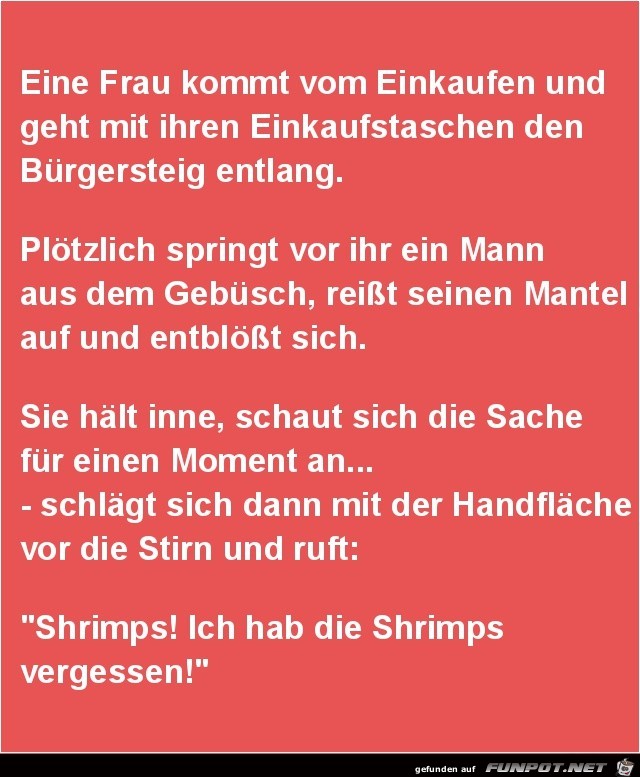 eine Frau kommt vom Einkaufen,........