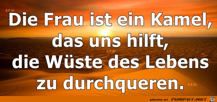 Die Frau Die Frau
