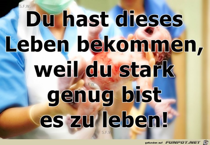 Du hast dieses Du hast dieses