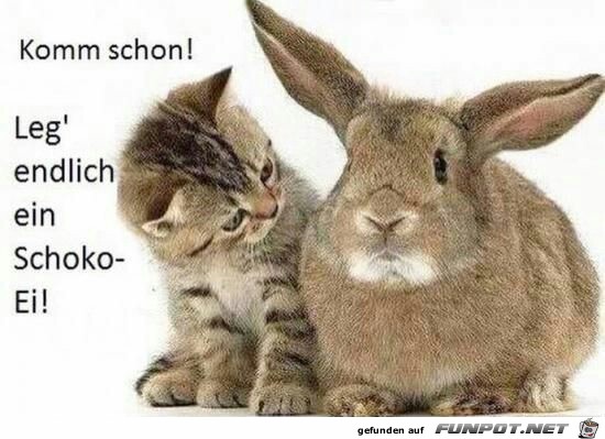 Ostern Ostern