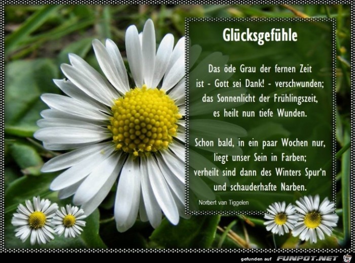 Glücksgefühle 2018 Glücksgefühle 2018