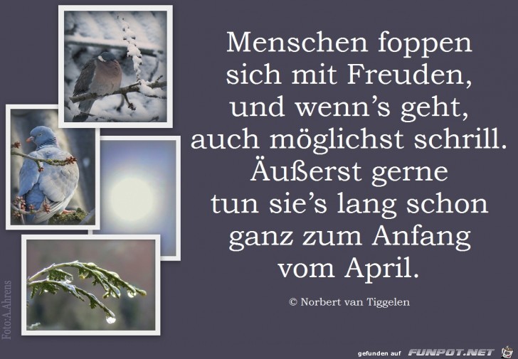 Aprilfoppen 2018